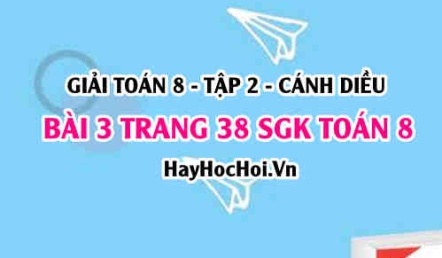 Bài 3 trang 38 Toán 8 Tập 2 Cánh Diều